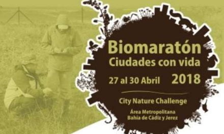 Biomaratón City Nature Challenge 2018 del 27 al 30 de abril en Cádiz