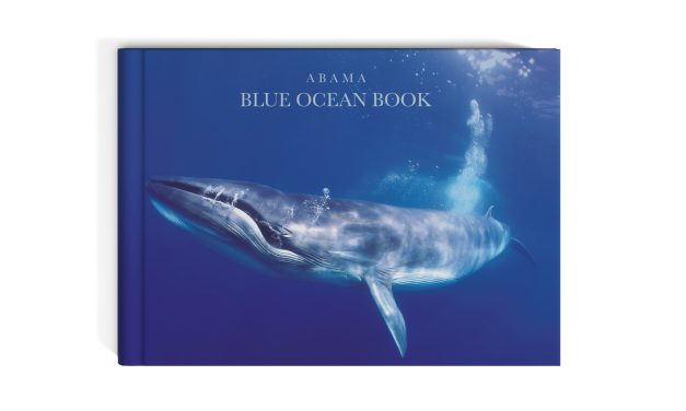 Abama Blue Ocean: una llamada a la protección del único santuario de ballenas de Europa